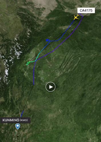 某航旅APP顯示，國航CA4175航班航行途中，調(diào)頭折返備降。 視頻截圖。