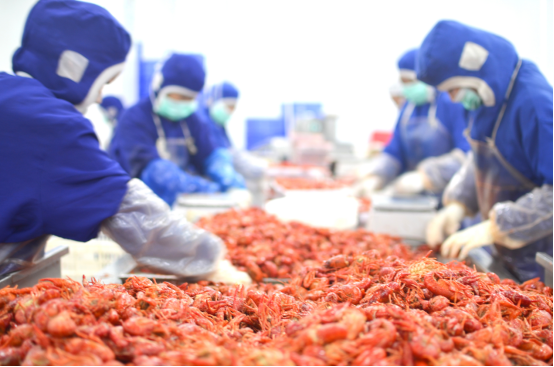 天貓618三天賣出1000萬只小龍油炸出產(chǎn)線蝦 洪湖漁家提前3月增設(shè)6條生產(chǎn)線